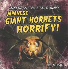 Japanese Giant Hornets Horrify!