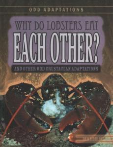 Why Do Lobsters Eat Each Other?