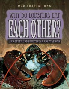 Why Do Lobsters Eat Each Other?