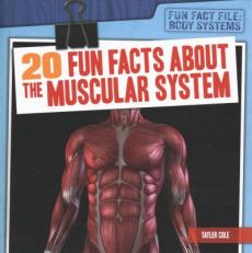 20 Fun Facts about the Muscular System