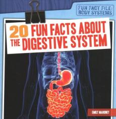 20 Fun Facts about the Digestive System