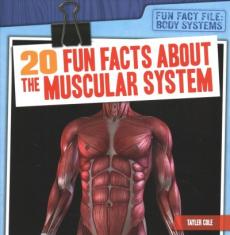 20 Fun Facts about the Muscular System