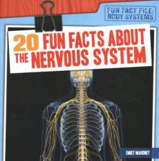 20 Fun Facts about the Nervous System