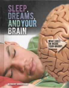 Sleep, Dreams, and Your Brain