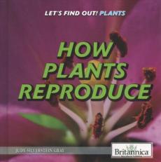 How Plants Reproduce