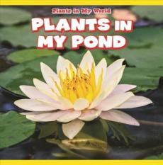 Plants in My Pond