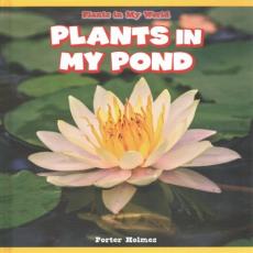 Plants in My Pond