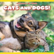 Cats and Dogs!