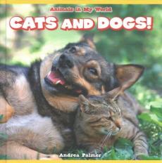 Cats and Dogs!