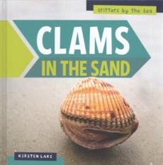 Clams in the Sand