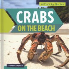 Crabs on the Beach