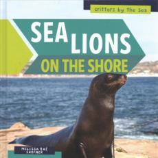 Sea Lions on the Shore