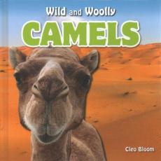 Camels