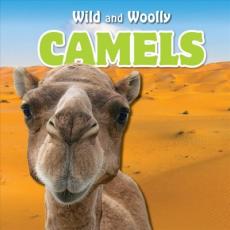 Camels