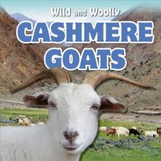 Cashmere Goats