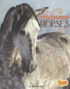 Thoroughbred Horses