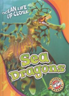 Sea Dragons