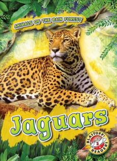 Jaguars