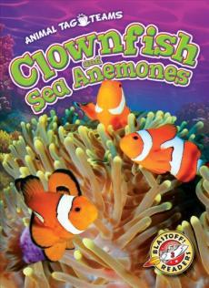 Clownfish and Sea Anemones