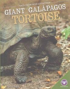 Giant Galбpagos Tortoise