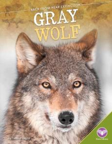 Gray Wolf