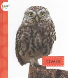 Owls