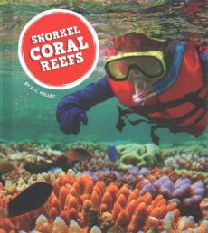 Snorkel Coral Reefs