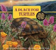 A Place for Turtles