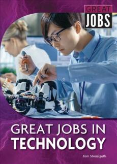 Great Jobs in Technology