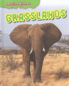 Grasslands