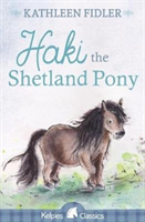Haki the shetland pony