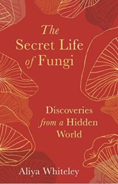 Secret life of fungi