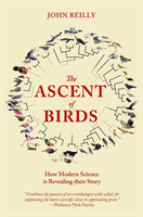 Ascent of birds