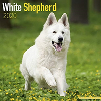White shepherd calendar 2020