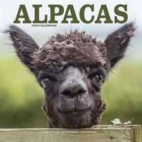 Alpacas calendar 2020