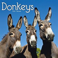 Donkeys calendar 2020