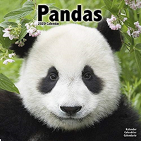 Pandas calendar 2020