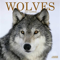 Wolves calendar 2020