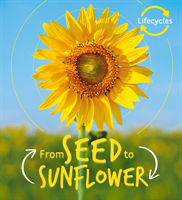 Lifecycles: seed to sunflower