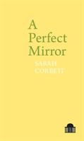 Perfect mirror
