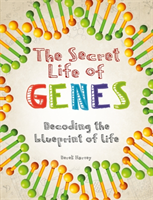Secret life of genes