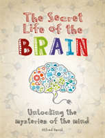 Secret life of the brain