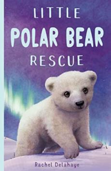 Little polar bear rescue
