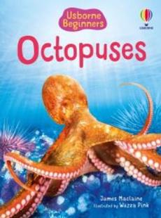 Octopuses