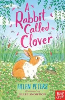 A rabbit called Clover
