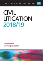 Civil litigation 2018/2019