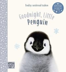 Baby animals penguin