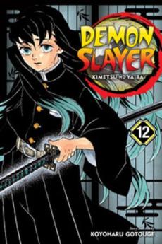Demon slayer : Kimetsu no yaiba (12) : The upper ranks gather