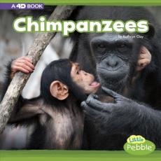 Chimpanzees