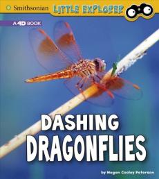 Dashing Dragonflies